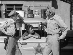 Andy Griffith Show Fake - \