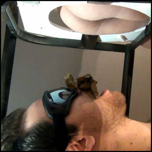 Bathroom Slave Porn - Femdom bathroom porn Femdom bathroom porn femdom bathroom porn femdom bathroom  porn femdom bathroom slave.