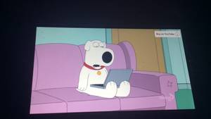 Amanda Family Guy Porn - European Porn (Family Guy)