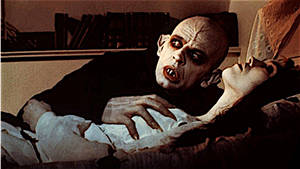 adult horror sex movies - The 100 Best Vampire Movies of All Time