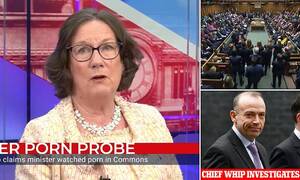 Minister Porn - Claim that Tory MP was watching PORN in the Commons will be investigated |  Daily Mail Online