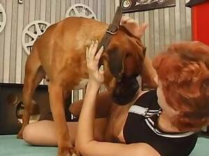 German Bestiality Porn - German Milf