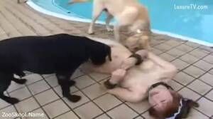 d 0g fucking asian - Beastyasia - young japanese forced to fuck with a ass fuck dog 400p Â»  Download zoo porno videos mp4 and free online