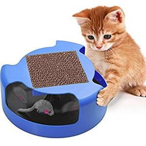 Cat And Mouse Girls Porn - Cat Toy Interactive Training Exercise Cat Kitten Mouse Play Toys with Turbo  Scratching Post Pad