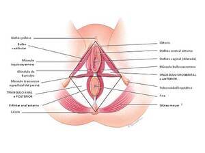 japanese sex%5Bhot-jav.com%5D - Japanese Sex 5bhot Jav Com 5d | Sex Pictures Pass