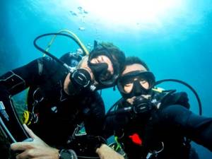 Diving Bear Porn - Share This ...