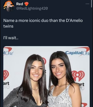 Ashley Olsen Cum Porn - You know who else is more iconic then the D'Amellio twins? : r/shitposting