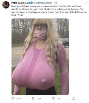 busty nudist camp - Comments - Challenge Accepted: Why Giant Prosthetic Breasts with Protruding  Nipples Are Not Appropriate Workwear