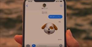 Korean Schoolgirl Porn - It would almost make me side with the guy in this situation, if it weren't  for the fact that he is labeled on her phone as â€œCap. Tsutsumi.