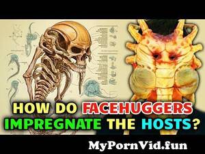 Facehugger Impregnation - Facehuggers Anatomy â€“ How Facehuggers Impregnate Hosts But Also Keep Them  Alive? from mugen facehugger Watch Video - MyPornVid.fun