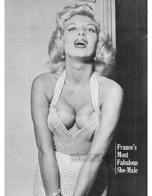 coccinelle transsexual nude - Pictures showing for Coccinelle Transsexual Nude - www.mypornarchive.net