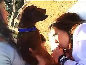 Mature Amateur Pet Porn - amateur dog Playlist - BestialitySexTaboo - Bestiality Sex Taboo