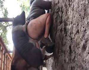 Fuck Pig Slut - Pig slut - Extreme Porn Video - LuxureTV