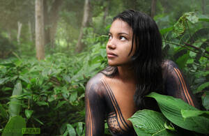brazilian nudist galleries - Portrait of a beautiful tribal girl from the Amazon by David Lazar : r/pics