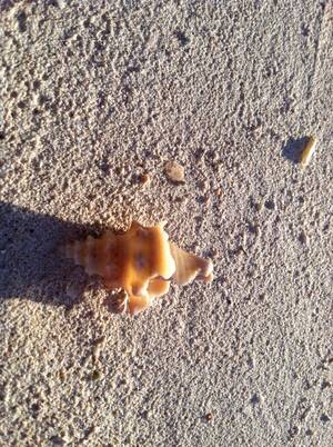 my first beach trip nude - So why a blog about traveling to naked places? â€“ Clothing Optional Trips