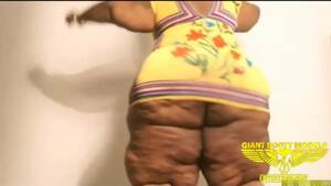 Girl Giant Ass Porn - Fat Girl Fetish: Giant Booty Models compilationâ€¦ ThisVid.com