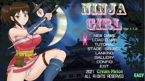 Ninja Babe Porn - Download Free Hentai Game Porn Games NINJA GIRL