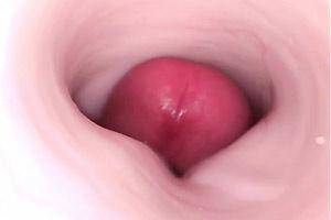 Fleshlight Inside Pussy - 