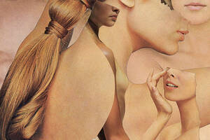 Brunette Wife Forced Porn - Cosmetic surgery: 'I've encouraged a cousin, my sister, friends who are  self-conscious...'