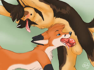 German Shepherd Furry Porn Bj - Rule 34 - 2012 anthro balls blondefoxy blush canine fellatio fox fur furry  gay german shepherd male nude oral oral sex penis sex | 954827