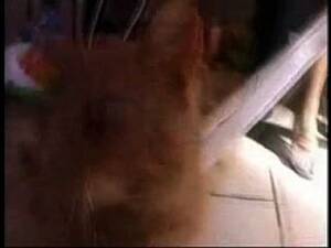 free forced anal sex videos - Forced Anal Free Sex Videos - Watch Beautiful and Exciting Forced Anal Porn  at anybunny.com