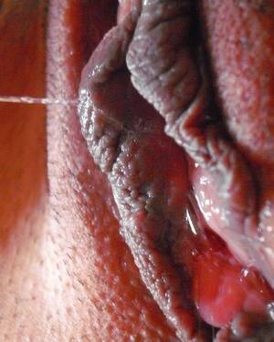 Cellular Porn - Cellular Porn Pictures, XXX Photos, Sex Images #409878 - PICTOA