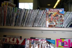 Denver Public Porn - Note: the girl viewing the Novela in the above photo is a pre-teen who  pulled the item off the shelf.