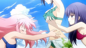 hentai cg baka to test - 