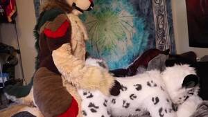 Furry Porn Snow - Deer fucking snow leopard - ThisVid.com ä¸­æ–‡
