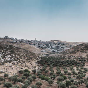 Israel Public Porn - Opinion | What in the World Is Happening in Israel? - The New York Times