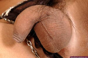 asian shemales ass close up - This shemale flashes close-ups of her butthole and her love tools