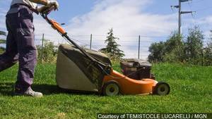 Lawn Care Porn - Mowing. Fertilization. Irrigation: What you need to know about lawn care |  KVAL