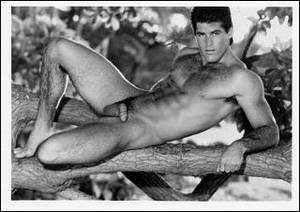 Mike Timber Porn Star - 