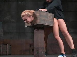 Box Bondage Porn - Z19- AW Whore in a Box | xHamster