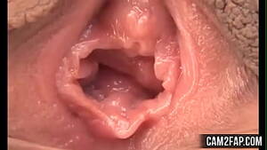 asian pussy porn videos - asian pussy' Search - XNXX.COM