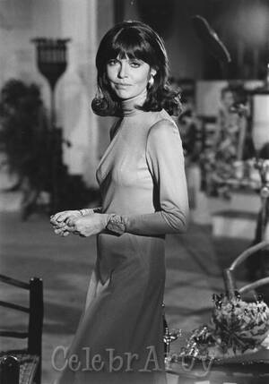 Barbara Feldon Nude - Barbara Feldon | Barbara eden, Beautiful actresses, Movie stars
