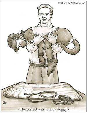 Hentai Pet Play Porn - The Veterinarian Petplay - HentaiEra