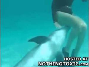 dolphin vagina cam - Dolphin Pussy 98