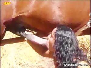 k9lady preggo anal - K9Lady Ariel - Preggo Anal ArtofZoo - Beast sex videos - Bestialitytaboo