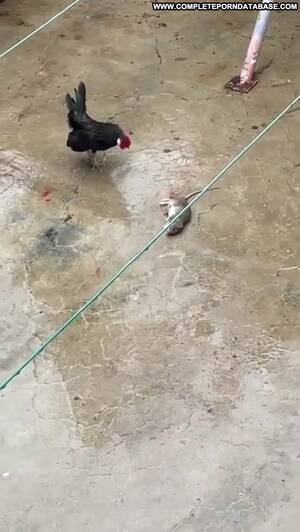 Chicken Porn Xxx - Kennyismyname Chicken Xxx Porn Hot Influencer Sex Straight - Complete Porn  Database Pictures