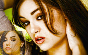 Educated Porn Stars - 