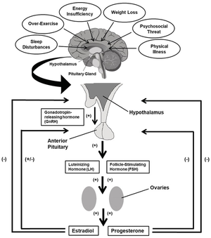 Nepiophile Porn Deep - Applications to Health, Law, and Pornography (Part II) - The Cambridge  Handbook of Evolutionary Perspectives on Sexual Psychology