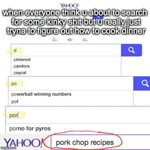 Kinky Meme - Pork Chop Recipes, Not Porn, You Sick Fucks