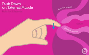 anal fingering spot - Anal Fingering: Best Visual Guide on First Time Anal Fingering!