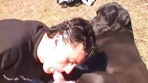 Bestiality Porn Man - Man fucking dog's tight hole. Free bestiality and animal porn