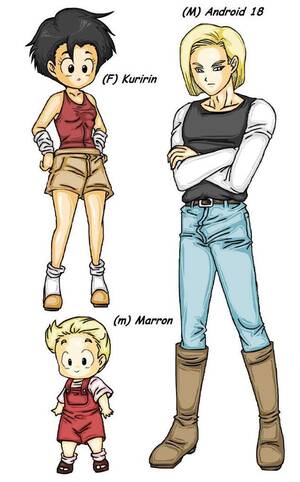 Dragon Ball Rule 63 Porn - Rule 63 DB | Anime Amino