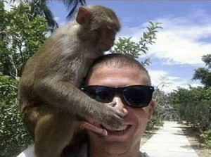 Monkey Porn - Porn Hub's sister site Monkey Hub fails to achieve the same level of  success after its initial launch (2007) : r/fakehistoryporn