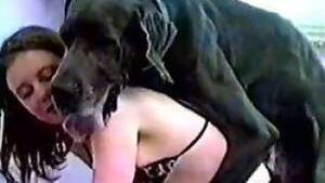 Bizarr Sex Porn Fuck - Zoo Bizarre Sex - Tube videos with animals and people fucks together  without prejudices