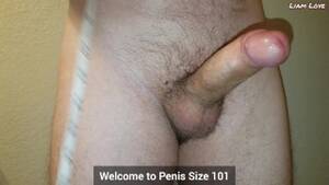 cocks size - Sex Education: Penis Size (Part 1) - Pornhub.com