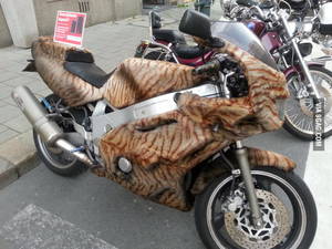 Cars Furry Porn - Furry cars... I'll raise you: the furry motorcycle